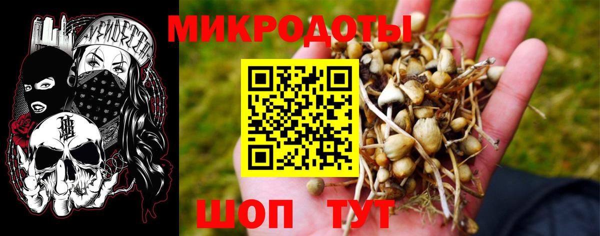 Галлюциногенные грибы Psilocybine cubensis  Вход с VPN  Сергиев Посад 